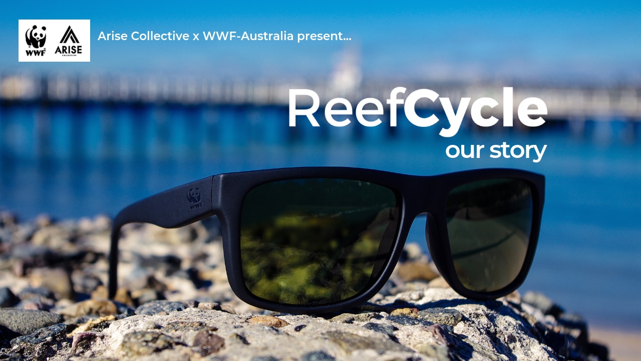 ocean plastic sunglasses